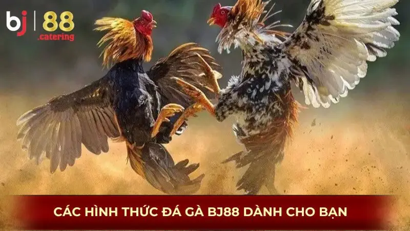 Các hình thức đá gà BJ88 dành cho bạn