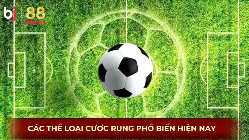 Các thể loại cược rung phổ biến hiện nay