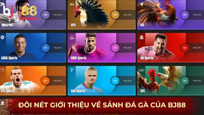 Đôi nét giới thiệu về sảnh đá gà của BJ88