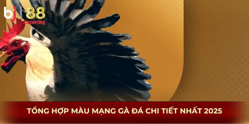 Màu Mạng Gà Đá