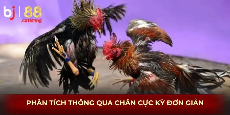 Phân tích thông qua chân cực kỳ đơn giản